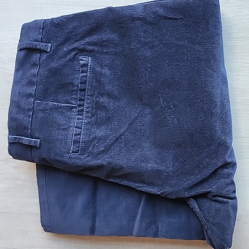 Everlane Men's Deep Blue Corduroy Pants